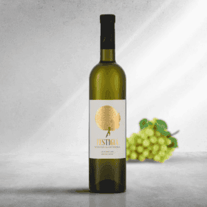 Malvazija Istarska Festigia bijelo vino